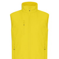 Colore GIALLO LIMONE 10